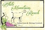 White Mountains Ranch Nubian Goats & Heritage Livestock